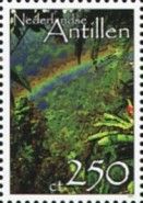 Rainbow in rainforest
