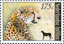 Cheetah