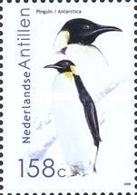Emperor Penguin (Aptenodytes forsteri)