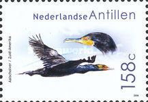 Neotropic Cormorant (Nannopterum brasilianum)