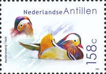 Mandarin Duck (Aix galericulata)