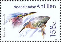 Green Heron (Butorides virescens)