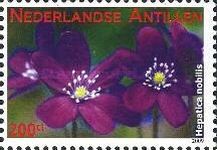 Hepatica nobilis
