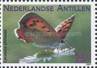Small Copper (Lycaena phlaeas)