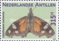 Common Snout butterfly (Libytheana carinenta)