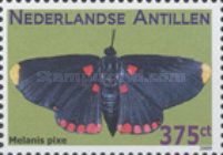 Red-bordered Pixie (Melanis pixe)