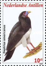 Red-throated Caracara (Daptrius americanus)