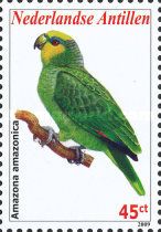 Orange-winged Parrot (Amazona amazonica)