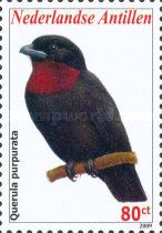 Purple-throated Fruitcrow (Querula purpurata)