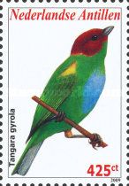 Bay-headed Tanager (Tangara gyrola)