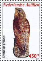 Great Potoo (Nyctibius grandis)