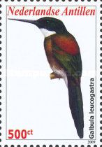Bronzy Jacamar (Galbula leucogastra)