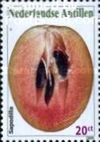 Sapodilla