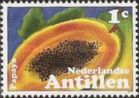 Papaya