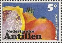 Pomegranate