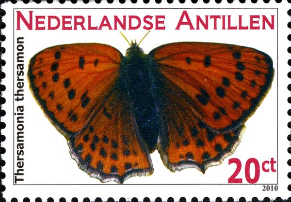 Lesser Fiery Copper (Thersamonia thersamon)