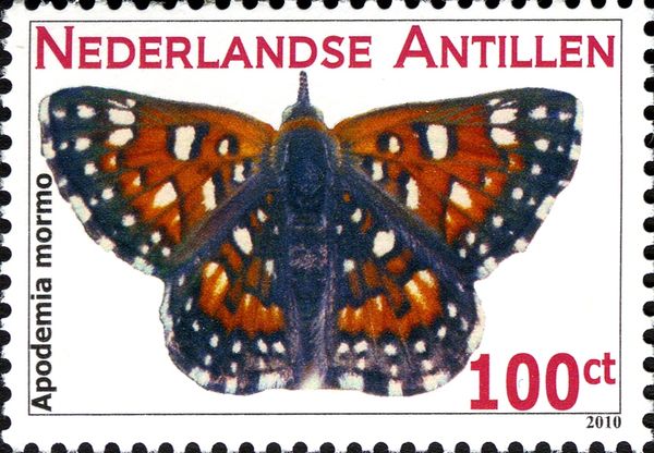 Butterflies Mormon metalmark (Apodemia mormo)