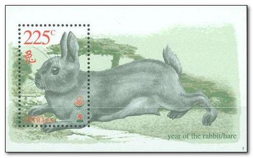 Domestic Rabbit (Oryctolagus cuniculus domesticus), Landscap