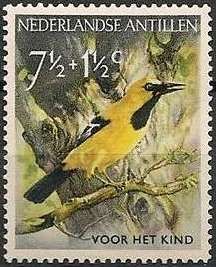 Yellow Oriole (Icterus nigrogularis)
