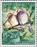 Common Ground Dove (Columbina passerina)