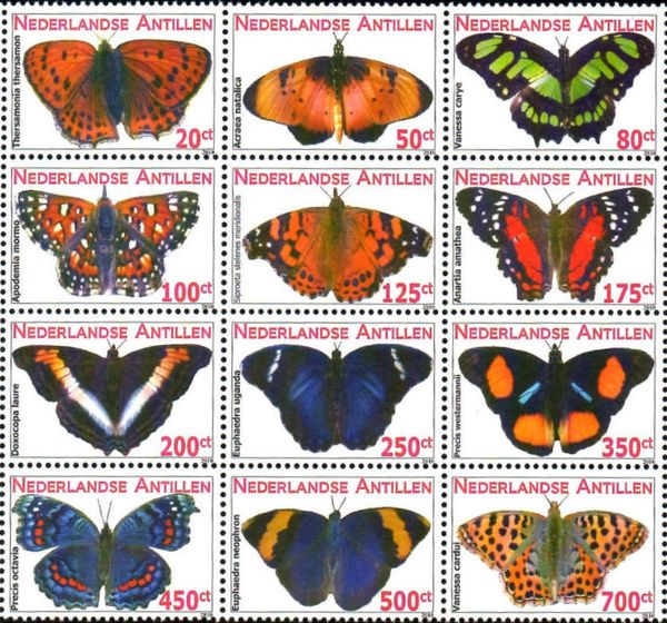 Butterflies