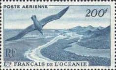Snowy Albatross (Diomedea exulans) over Maupiti