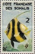 Schooling Bannerfish (Heniochus diphreutes)