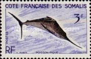 Black Marlin (Istiompax indica)