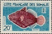 Orange-lined Triggerfish (Balistabus undulatus)