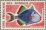 Yellowmargin Triggerfish (Pseudobalistes flavimarginatus)