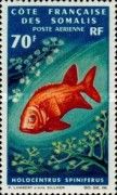 Sabre Squirrelfish (Holocentrus spiniferus)