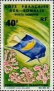 Yellowbar Angelfish (Pomocanthops filamentosus)