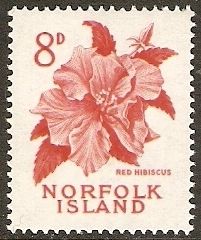 Red Hibiscus