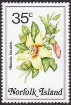 Philip Island hibiscus (Hibiscus insularis)