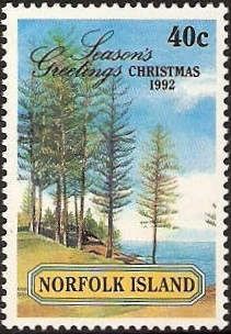 Norfolk Pines above Ball Bay