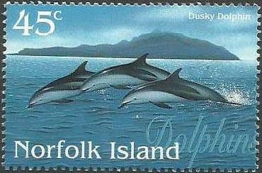 Dusky Dolphin (Sagmatias obscurus)