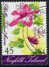 Hibiscus insularis