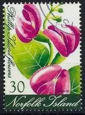 Canavalia rosea