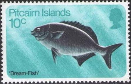 Dream-fish (Kyphosus cinerescens)