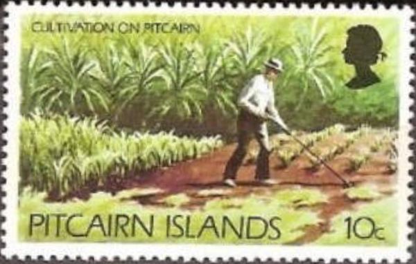 Cultivation on Pitcairn