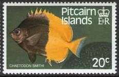 Smith's Butterflyfish (Chaetodon smithi)