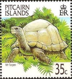 Mr Turpin tortoise (Chelonoidis elephantopus)
