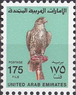 Saker Falcon (Falco cherrug)