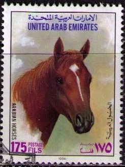Horse (Equus ferus caballus)