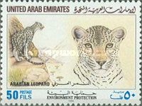Arabian Leopard (Panthera pardus nimr)