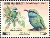 Arabian Green Bee-eater (Merops orientalis)