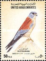 Lesser Kestrel (Falco naumanni)