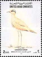 Cream-colored Courser (Cursorius cursor)