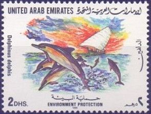 Common Dolphin (Delphinus delphis)