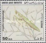 Thistle Mantis (Blepharopsis mendica)